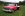 DCP_3502flat.jpg