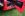 DCP_3510flat.jpg