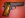 gun.jpg