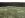 DSC00411.jpg