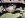 videos 078.jpg