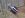 haspin 4 2008 not rolled yet.jpg