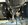 IMG_6994.jpeg