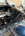 IMG_6995.jpeg