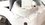 IMG_0951.jpeg