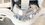 IMG_0956.jpeg