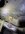 IMG_9179.jpeg