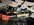 IMG_9185.jpeg