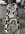 IMG_4590.jpeg