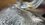 IMG_0962.jpeg