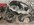 IMG_4790.jpeg