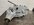 IMG_5004.jpeg
