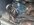 IMG_2419.jpeg