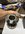 IMG_3081.jpeg