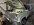 IMG_9199.jpeg