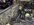 IMG_9203.jpeg