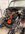 IMG_8230.jpeg