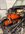 IMG_8177.jpeg