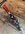 IMG_8590.jpeg