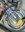 IMG_7042.jpeg