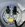 IMG_7043.jpeg