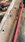 IMG_7050.jpeg