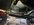IMG_9218.jpeg