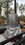 IMG_2226.JPEG