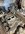001-IMG_6988.JPEG