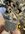 006 - IMG_7002.JPEG