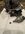 IMG_7140.jpeg