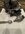 IMG_7142.jpeg