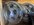 D4987BE7-A4F5-4B7A-979C-2A45BF2EA986.jpeg