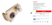 Screenshot 2026-02-24 103720.png