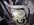 IMG_9232.jpeg