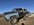 IMG_9250.jpeg