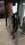 IMG_20260228_042421577_MP.jpg
