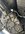 IMG_3439.jpeg