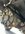 IMG_3438.jpeg