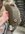 IMG_9479.jpeg
