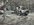 IMG_9260.jpeg