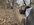 IMG_9270.jpeg