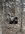IMG_9271.jpeg