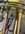 IMG_5816.jpeg