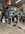 IMG_3188-compressed.jpeg