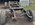 IMG_3187.jpeg