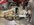 IMG_5109.jpeg