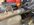 IMG_5113.jpeg