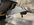 IMG_5137.jpeg