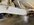IMG_5143.jpeg